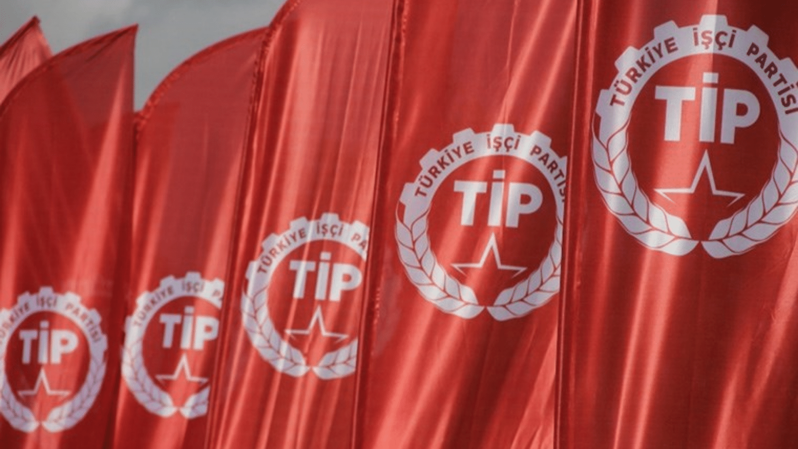 TİP: 'Yumuşama' bir oyun, Erdoğan daha da otoriterleşecek