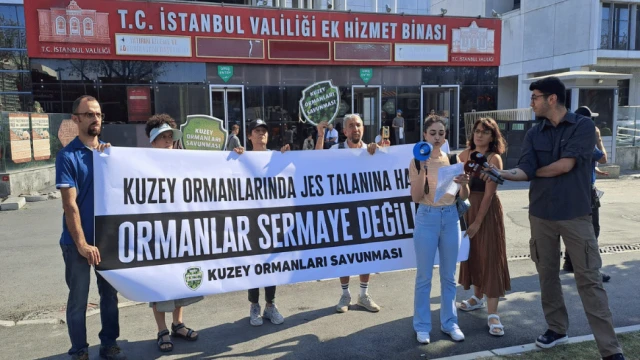 Kuzey Ormanları Savunması’ndan JES protestosu: "İstanbul için su krizi kapıdayken sularımızın zehirlenmesini istemiyoruz"