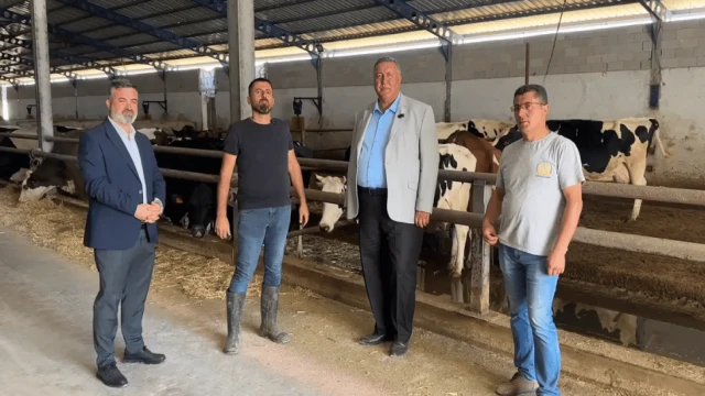 Ömer Fethi Gürer: TÜİK'e göre 4 yılda ithalata rağmen yaklaşık 2 milyon civarında sığır varlığı eridi