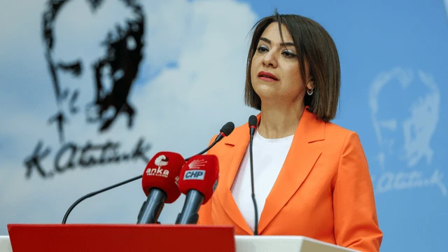 Gamze Taşcıer: "Asgari ücreti belirleme süreci emeği korumak için bir sınavdır. Bu sınavda, saray iktidarı sınıfta kalmıştır"