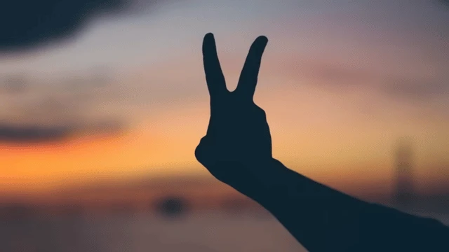 Kendi ayağını kurşunlamak buna denir