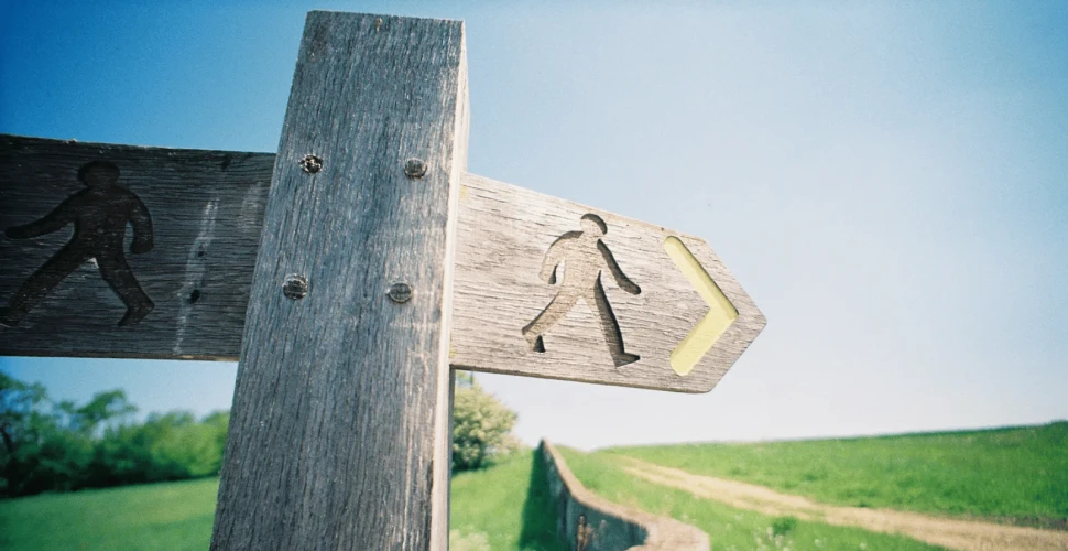Yol ayrımında…