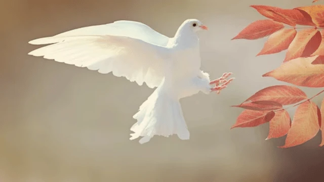 Dökülmüş yapraklardan bahara ulaşmak mümkündür