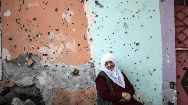 Terörsüz Türkiye, Demokrasi ve Hukuk Devleti