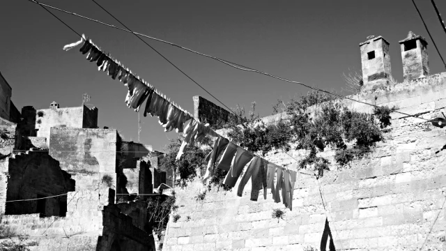 Bağımlılık, kayırmacılık ve dayanışma