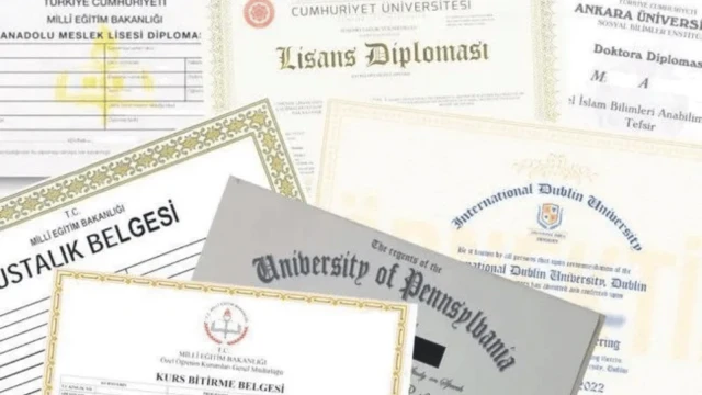 Sahte diploma, sahte insandır