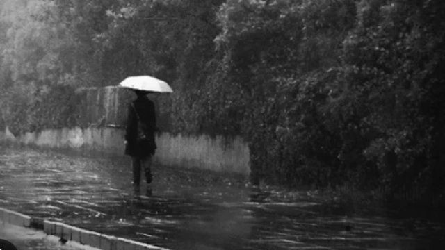 Ben yağmurda bitlendim