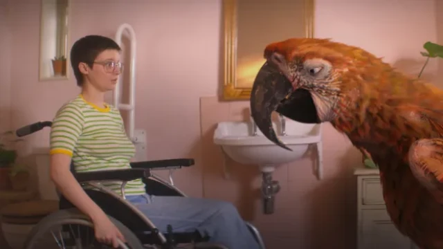 Bu filmin adı ayrılış değil