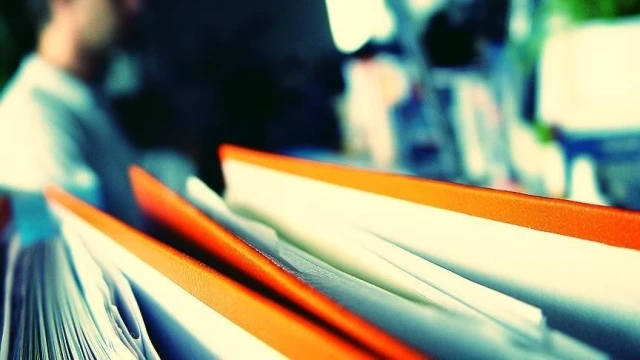 Fiili dokunulmazlık düzeni