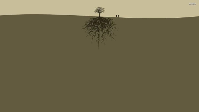 Köksüzlüğün Anatomisi