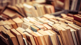 Türkiye’de yayıncılığın serüveni istatistiklere nasıl yansıyor?