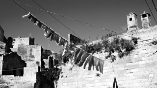 Bağımlılık, kayırmacılık ve dayanışma
