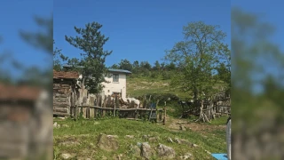 Kastamonu’dan Bayram İzlenimleri: Bayram benim neyime kan damlar yüreğime